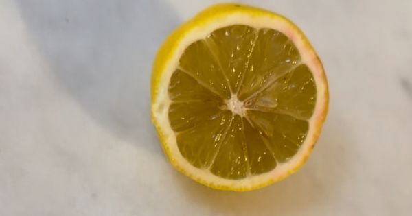 spirulemon-asama2