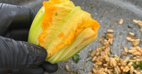 cicek-dolmasi-asama8