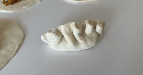 dumpling-asama8
