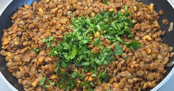 hashasli-mercimekli-borek-asama5