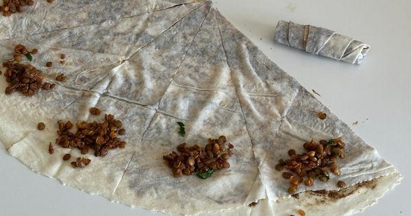 hashasli-mercimekli-borek-asama7