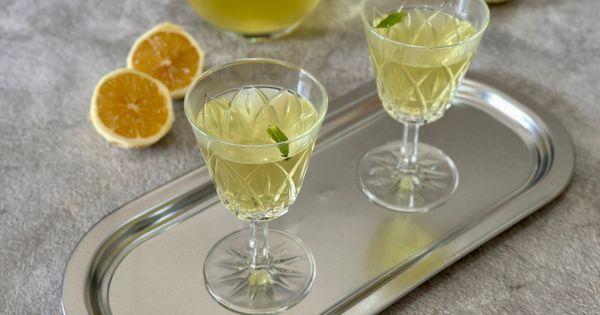 limoncello-asama6