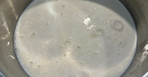 panna-cotta-asama2