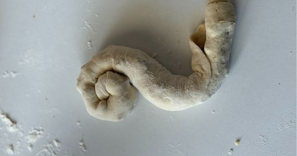 cevizli-kete-asama5