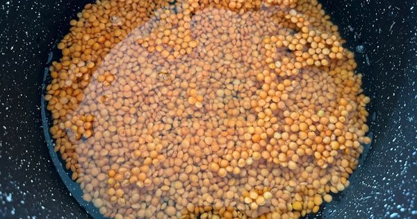 mercimek-humus-asama1