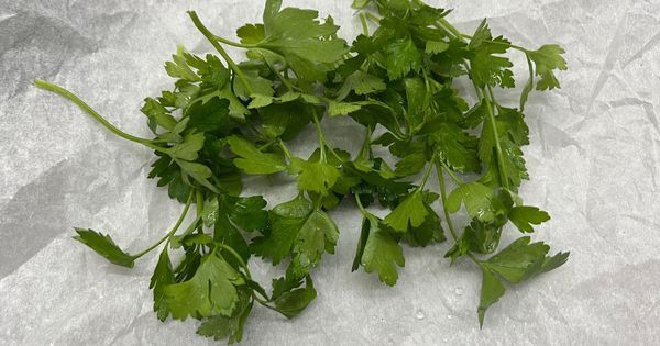 kagitta-pastirma-asama1