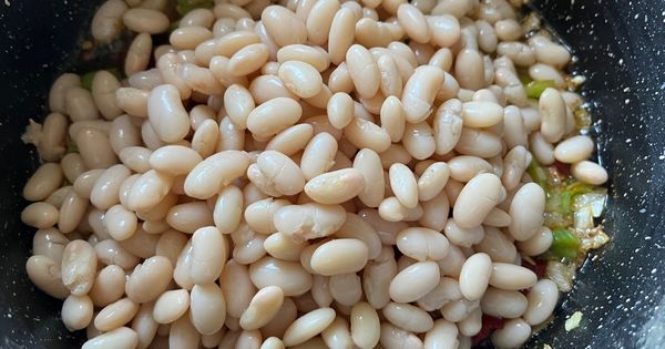 seker-fasulye-asama4
