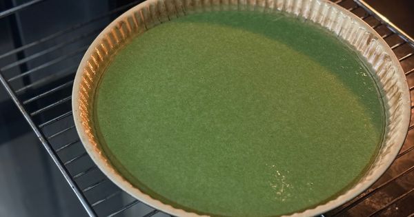 kremali-ispanakli-kek-asama4