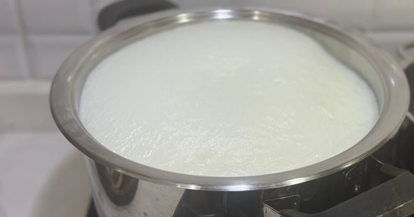 probiyotik-yogurt-asama1