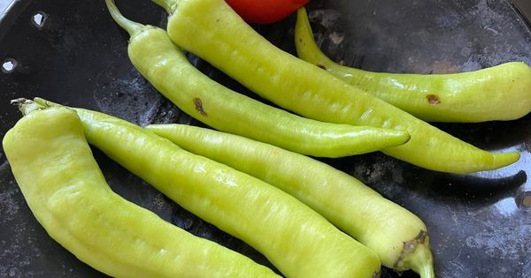 kopoglu-mancasi-asama2