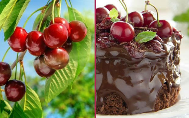 altus-derin-dondurucu-manset-yeni