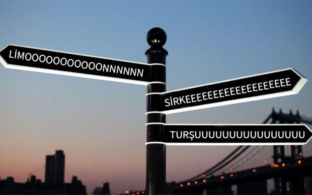 turk-yemek-ikilemleri-1