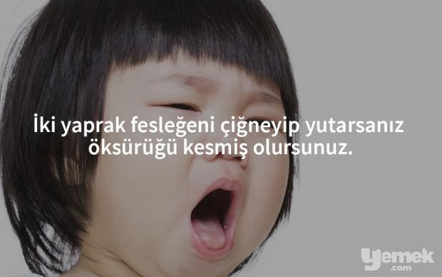 feslegen-oksuruk