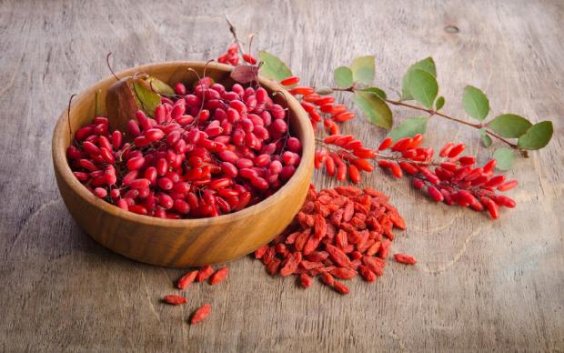 goji meyvesi
