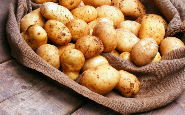 patates