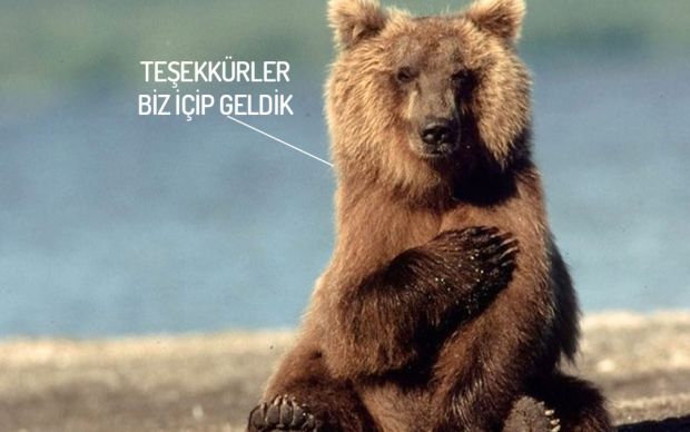 tesekkurler-biz-icip-geldik-site