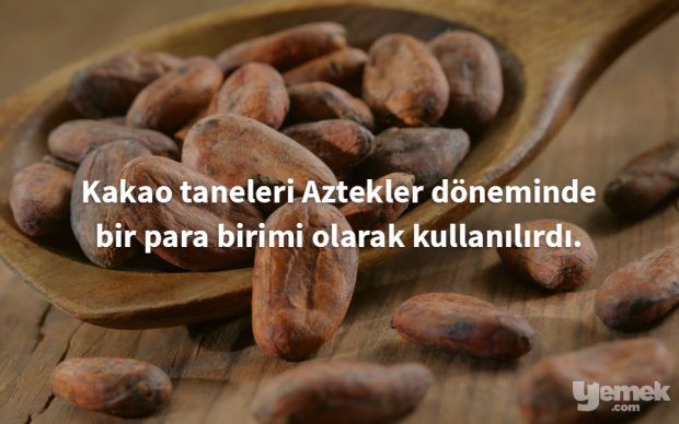kakao-bilgi
