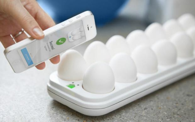 egg-minder