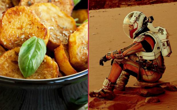 the-martian-feslegenli-patates-tarifi
