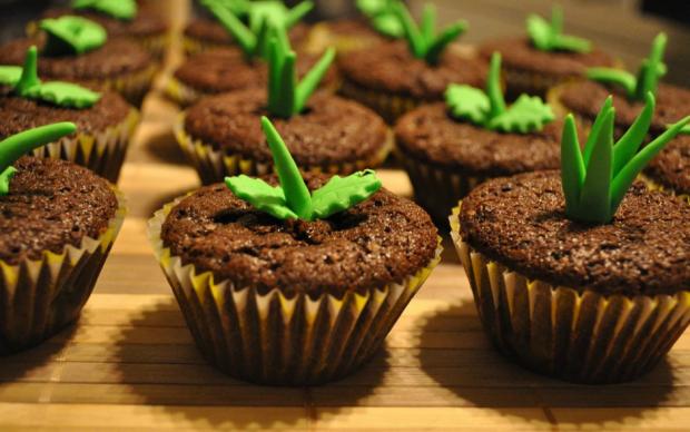 cupcake-manset-site
