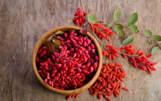 goji-berry-one-cikan