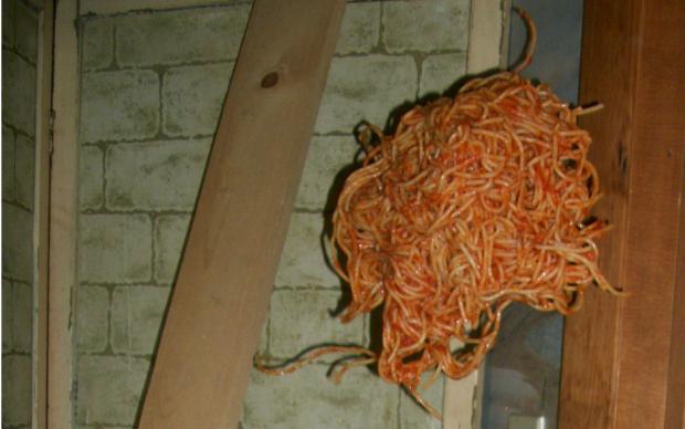 ucan-spagetti-manset