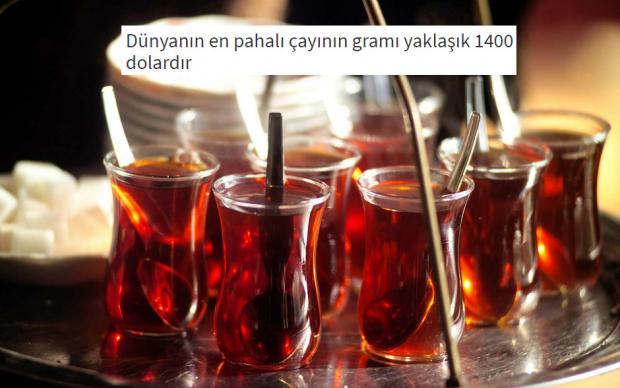 cay-hakkinda-ilginc-bilgiler-11-one-cikan