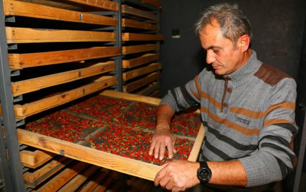 hurriyet