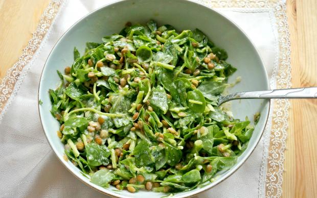 Mercimekli Semizotu Salatası Tarifi