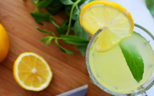ev-yapimi-limonata-esra