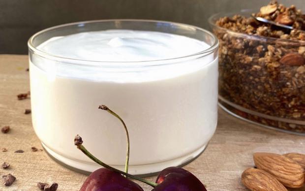 vegan-hindistan-cevizi-yogurdu-tarifi