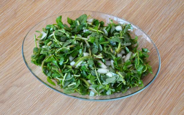 naneli-semizotu-salatasi-eren
