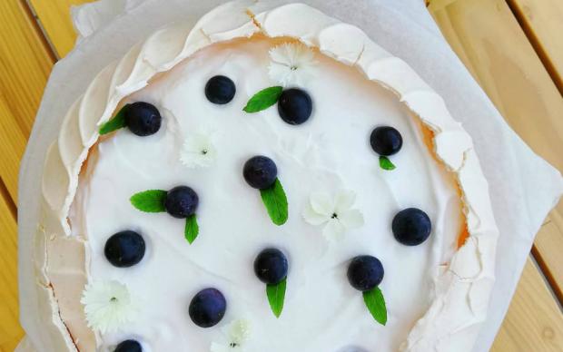 pavlova-birtutam