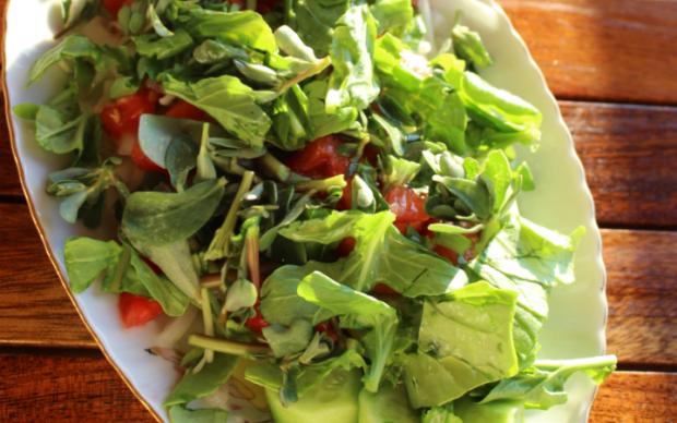 zeytinyagli-semizotu-salatasi-ege