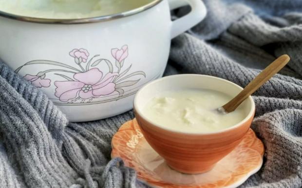 ev-yogurdu-irem