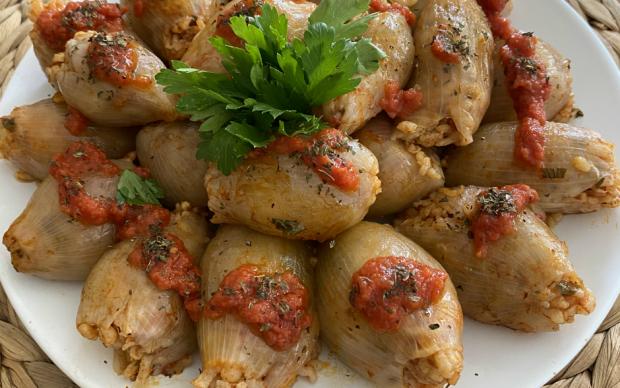 sogan-dolmasi-melek