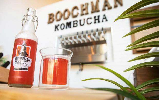 kombucha-editor