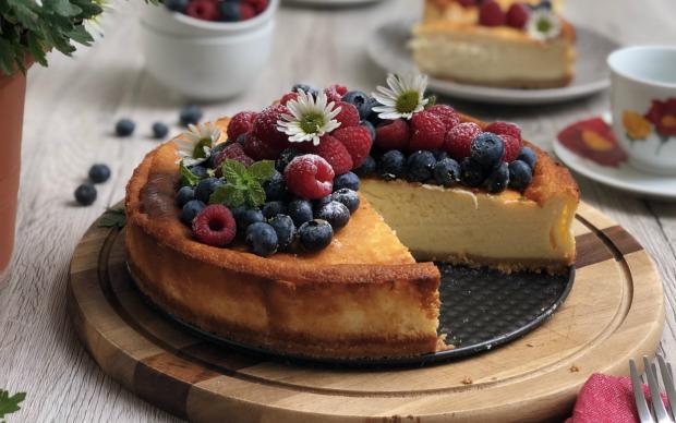 orman-meyveli-cheesecake-bahar