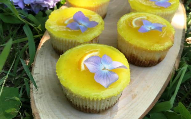 porsiyonluk-limonlu-cheesecake-tarifi