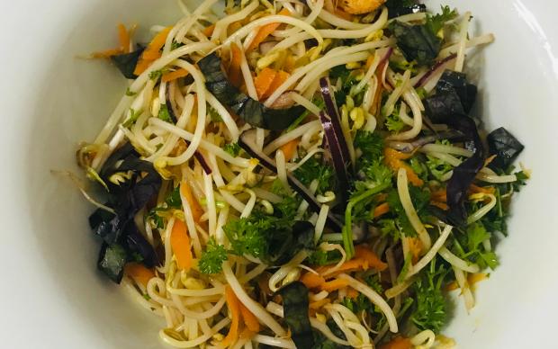 soya-filizi-salatasi-marin