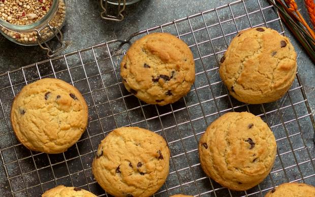 chocolate-chip-cookie-mevy