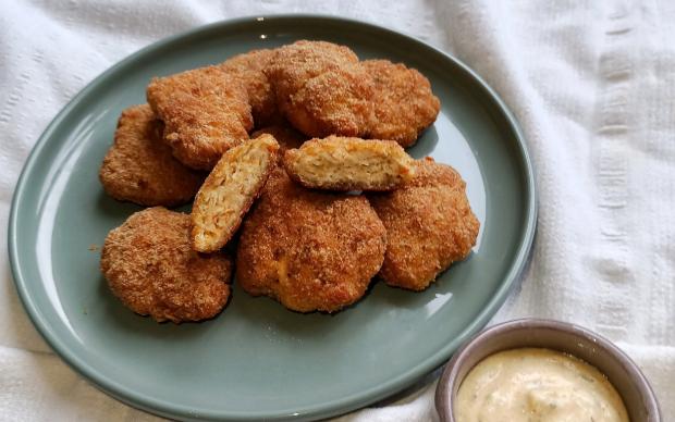 ev-yapimi-nugget-ezgi