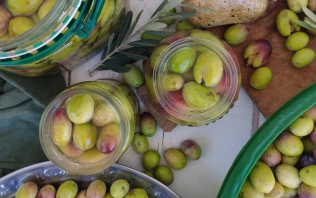 kirma-yesil-zeytin-tarifi