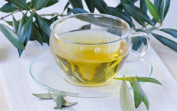 zeytin-yapragi-cayi-faydalari-2