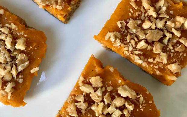 bal-kabakli-vegan-tart-aylin