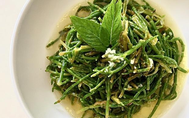 deniz-borulcesi-savory