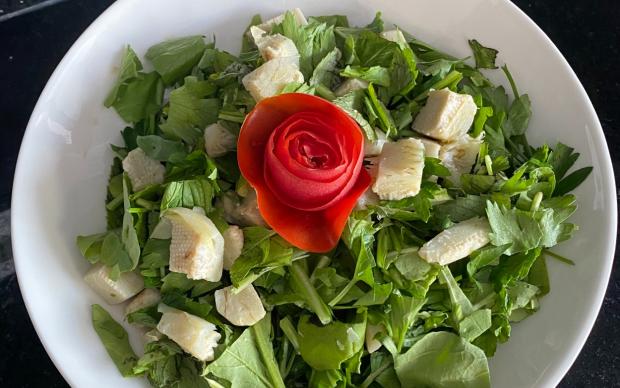 yesil-enginar-salatasi-asrin