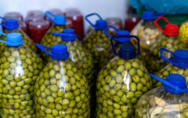 yesil-zeytin-nasil-yapilir-shutter-4