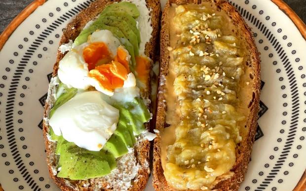 avokadolu-muzlu-acik-tost-editor