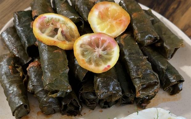 karadut-yapragi-sarmasi
